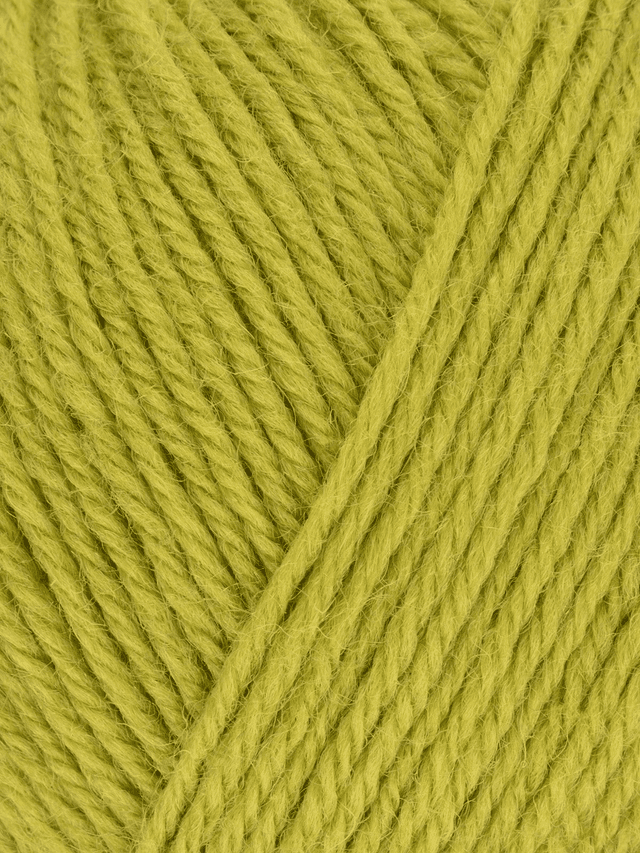 WYS ColourLab DK Yarn Pear Green 186 100g /225m